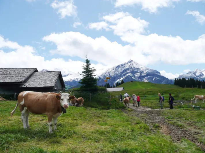 بالصور..وجهات سويسرية لا يعرفها الخليجيون