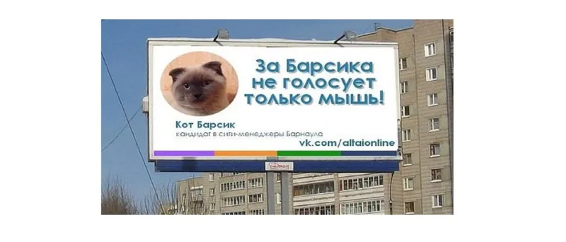 مدينة روسية ترشح قطاً لمنصب العمدة