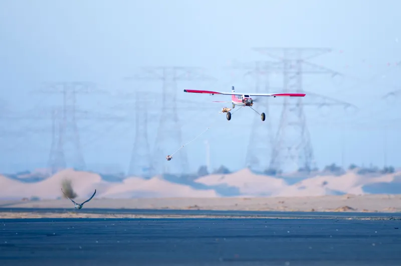 بالصور.. أقوى الفرق المحلية تتنافس في بطولة فزاع للصيد بالصقور 