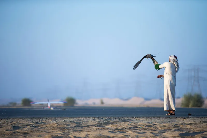 بالصور.. أقوى الفرق المحلية تتنافس في بطولة فزاع للصيد بالصقور 
