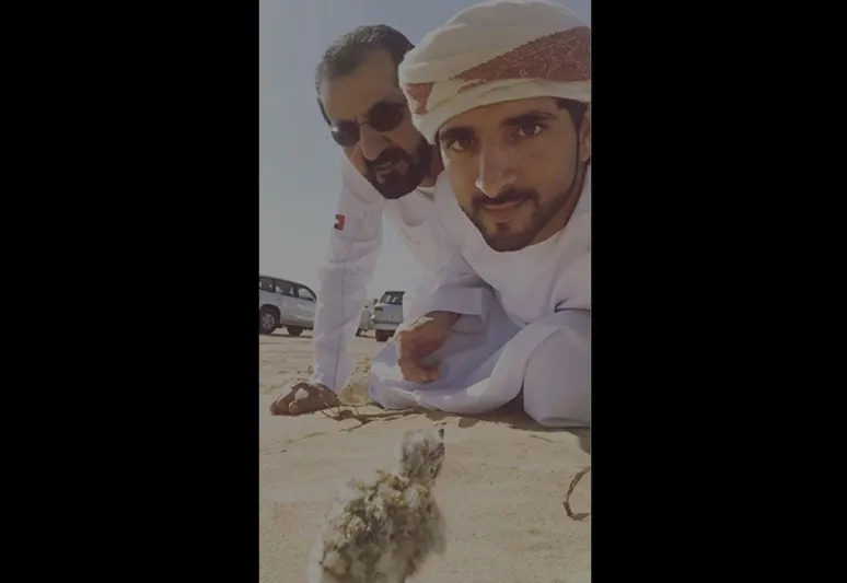 ولي عهد دبي ينشر صور لغداء عائلي في البر 