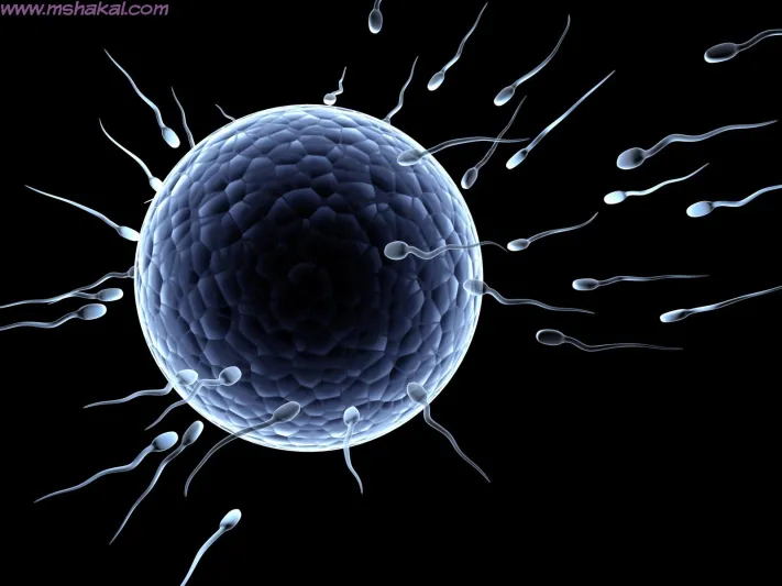 متــبرع بحيــوانـــــات منـــويـــة يلتقي ببعض أبنائه الكثيرين!