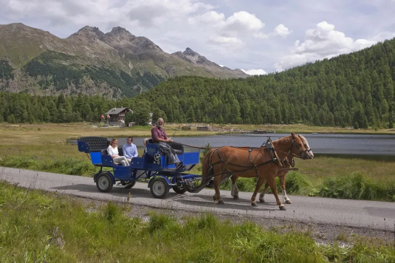 بالصور..تبحث عن خريف حقيقي.. ينتظرك في سانت موريتز