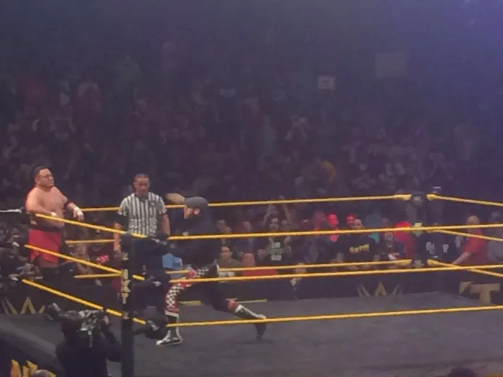 بالصور..تربيل اتش يكتسح رويال رامبل 2016 