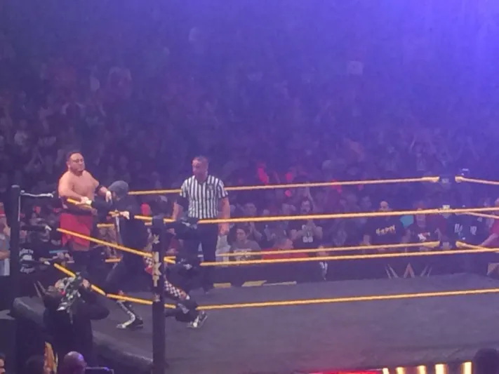 بالصور..تربيل اتش يكتسح رويال رامبل 2016 