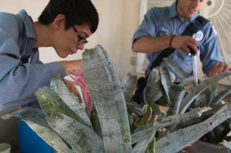 بالصور..كيف تحمي نفسك من فيروس زيكا 