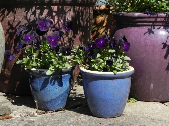 بالصور..كيف تحمي نفسك من فيروس زيكا 