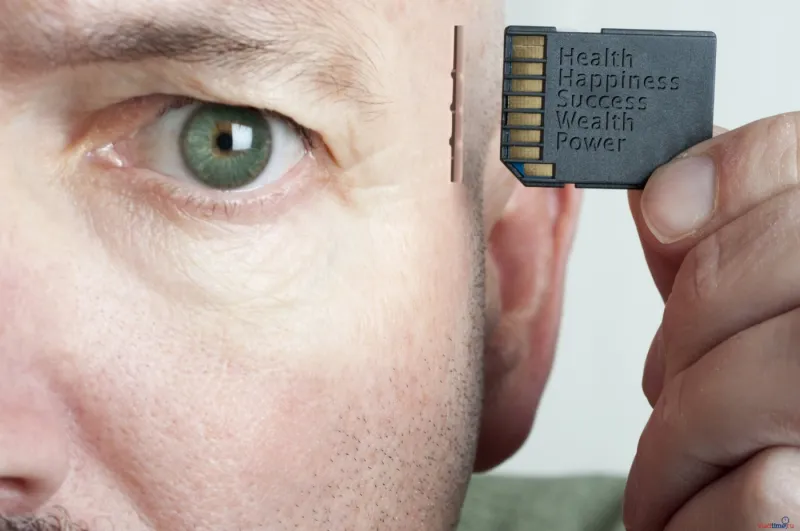 حبة فاكهة تعيد ذاكرتك المفقودة