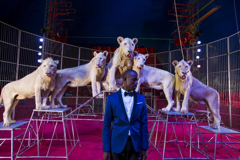 بالصور..عروض مبهرة لسيرك "فيغاس الشهير" في بوابة الشرق مول 