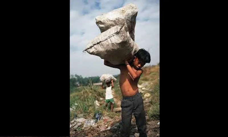 بالصور..21 معلومة  صادمة عن العبيد 