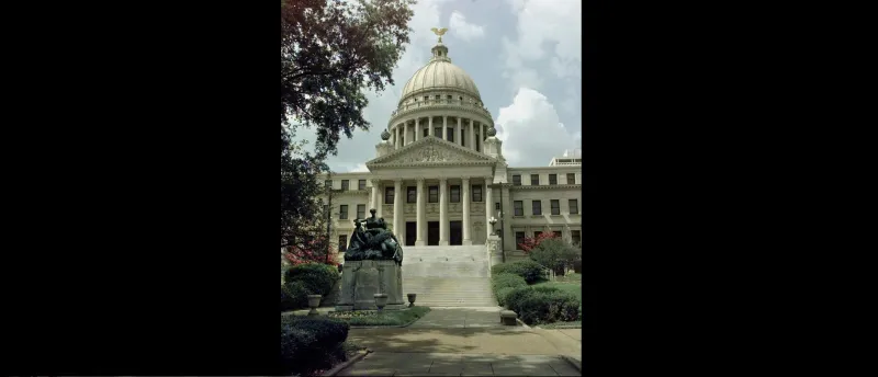 بالصور..21 معلومة  صادمة عن العبيد 