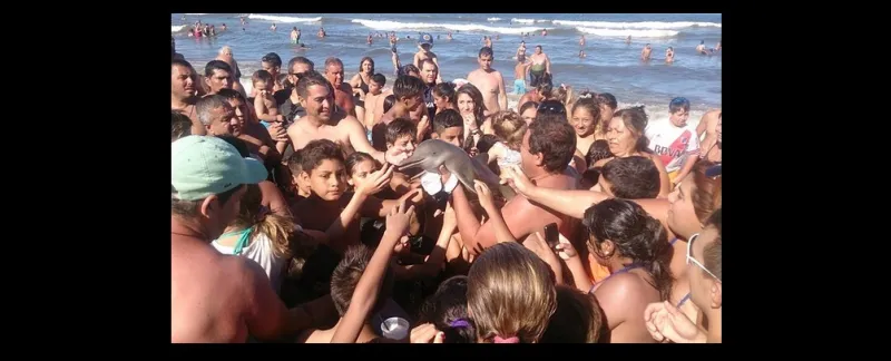 قتلوا دلفين لأجل الـ"سيلفي"!