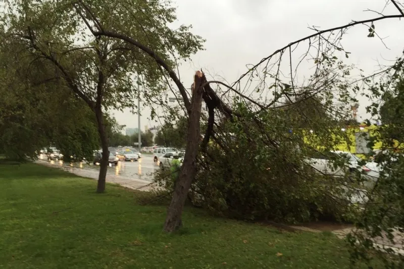  بالصور..أمطار غزيرة على إمارات الدولة 