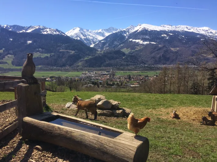 هل جربت زيارة قرية هايدي في سويسرا ؟