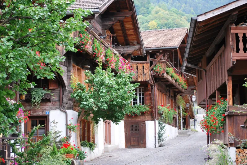 بحيرة برينز في سويسرا  لوحة فريدة لا تتكرر