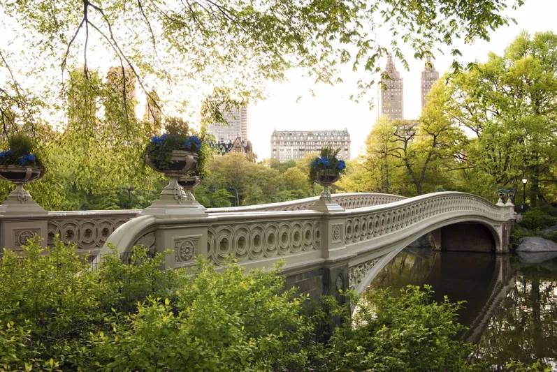 عطر سي اتش الجديد من كارولينا هريرا