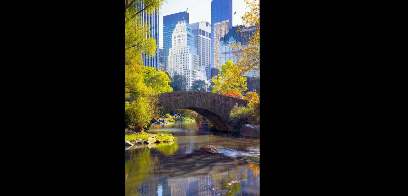 عطر سي اتش الجديد من كارولينا هريرا