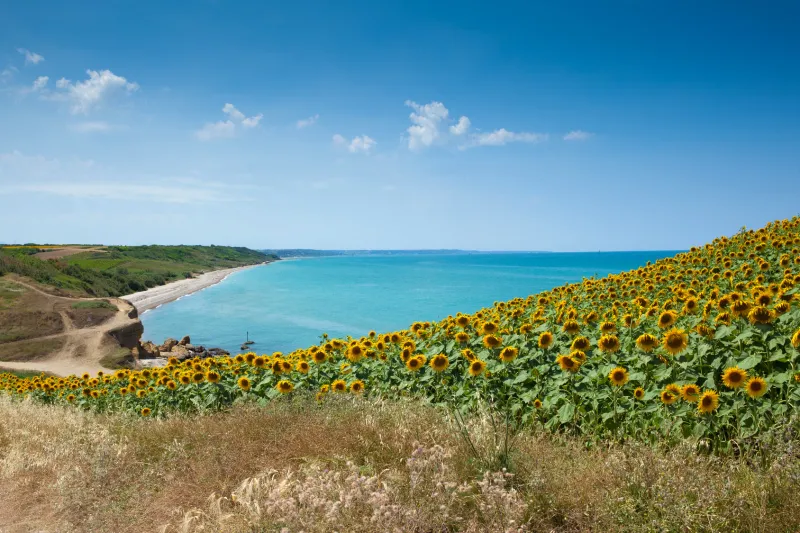 مدينة بيسكارا قلب ايطاليا الأخضر