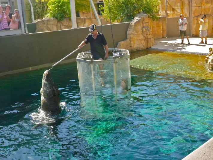 قفص الموت في استراليا هل تجرؤ على دخوله ؟