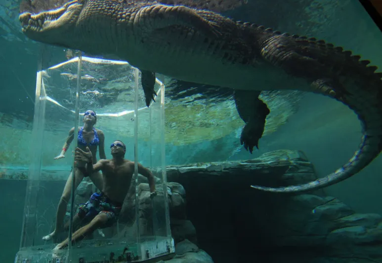 قفص الموت في استراليا هل تجرؤ على دخوله ؟