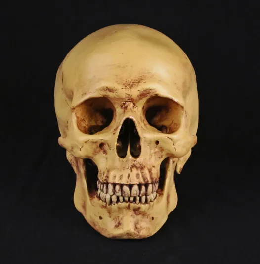 كويتي يعثر على جمجمة وعظام بشرية في منزله