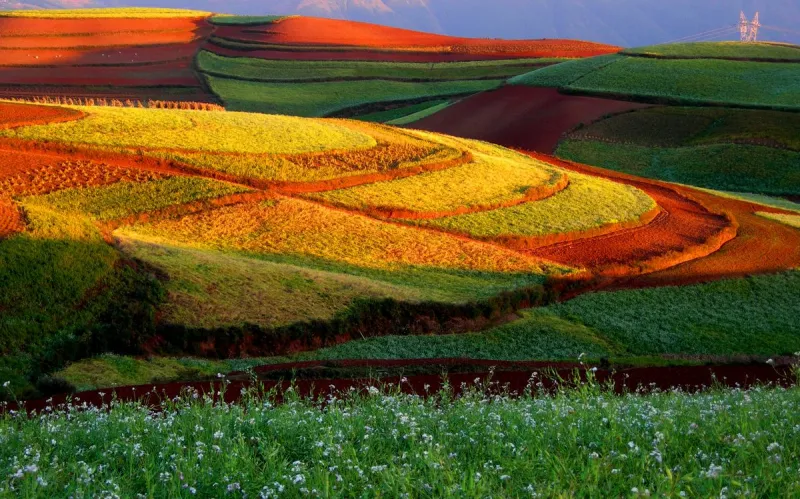 دونغ شوان الاراضي الحمراء في الصين 