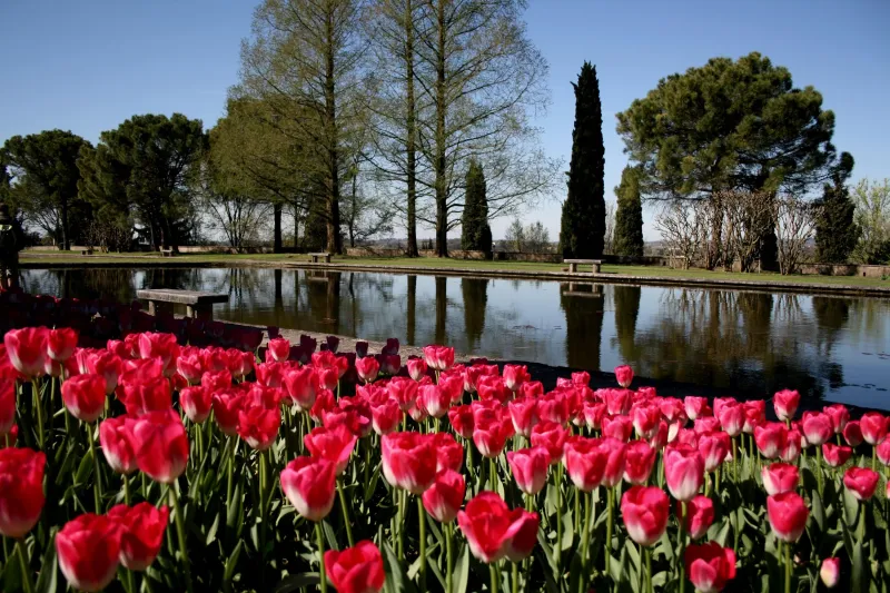 حديقة سيكورتا ايطاليا يوم مع الطبيعة الغناء 