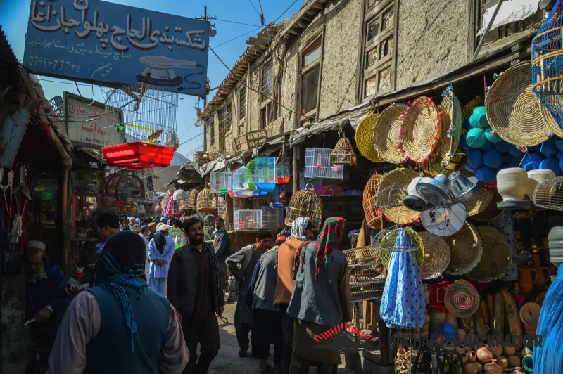 سوق الطيور في كابول الاقدم على الاطلاق 