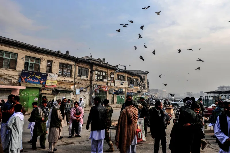 سوق الطيور في كابول الاقدم على الاطلاق 