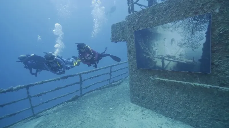 فلوريدا المعرض الفني الاكثر عمقا في العالم 