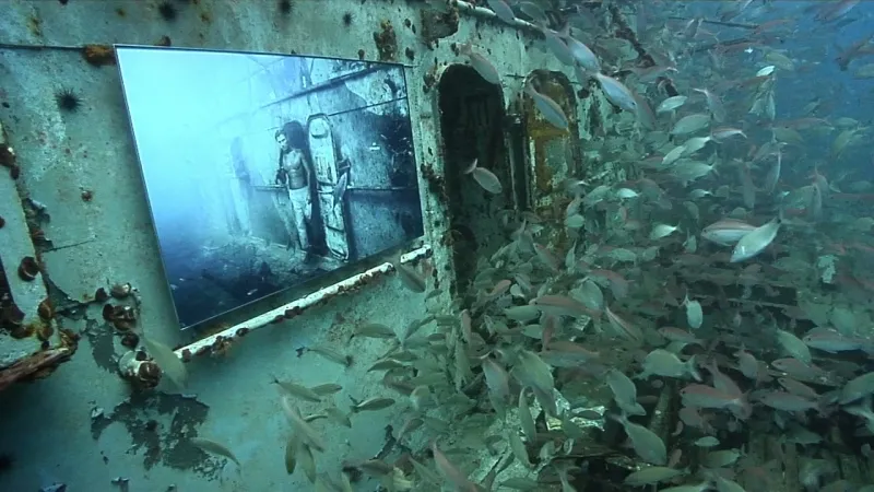 فلوريدا المعرض الفني الاكثر عمقا في العالم 