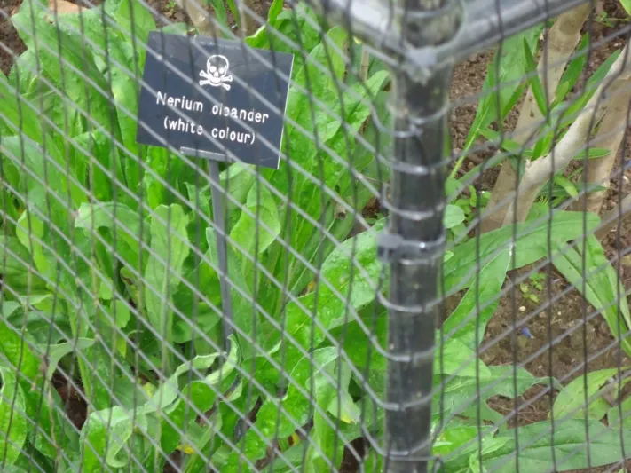 حديقة النويك الانجليزية موعد مع الموت 