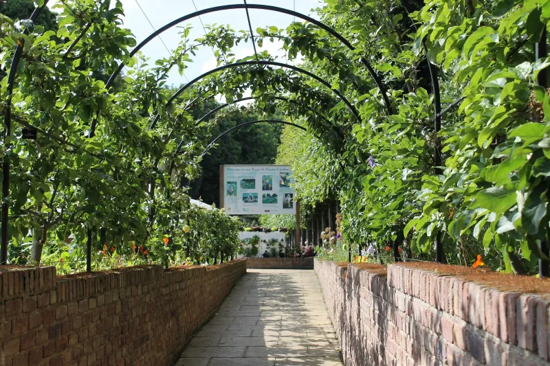 حديقة النويك الانجليزية موعد مع الموت 