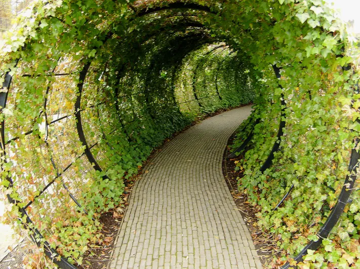 حديقة النويك الانجليزية موعد مع الموت 