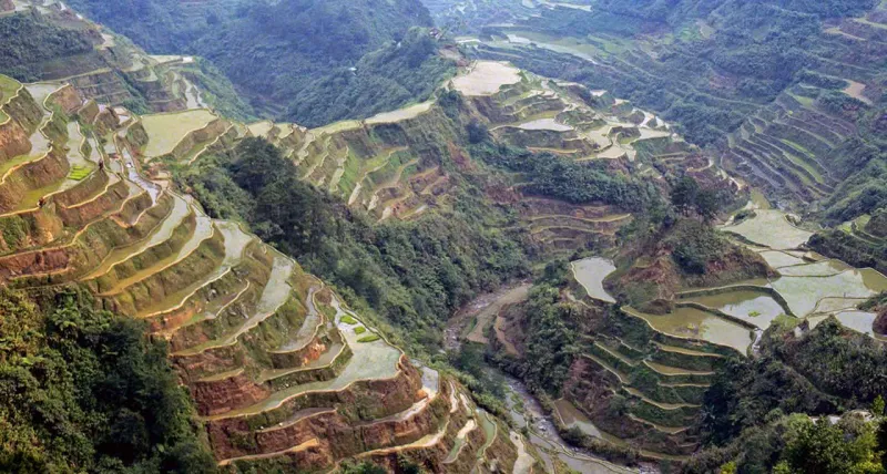 مدرجات الارز في الفلبين اعجوبة طبيعية صنعها البشر