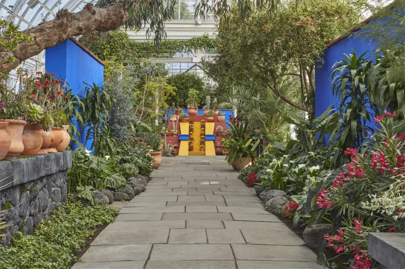 منزل فريدا كاهلو زرقة تخفي الكثير من الالم