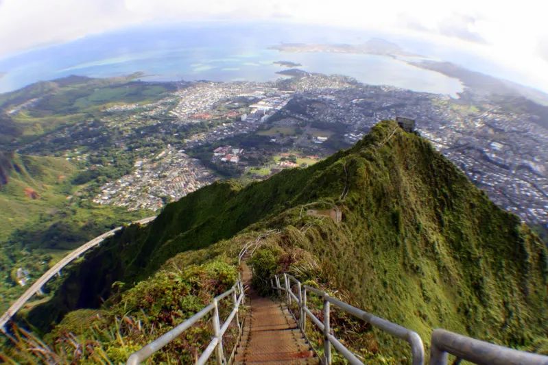 سلالم الهايكو مغامرة في الصعود إلى السماء