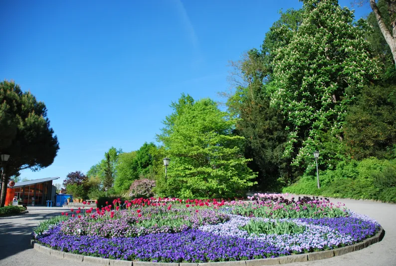 جزيرة مايناو في المانيا حديقة للزهور النادرة