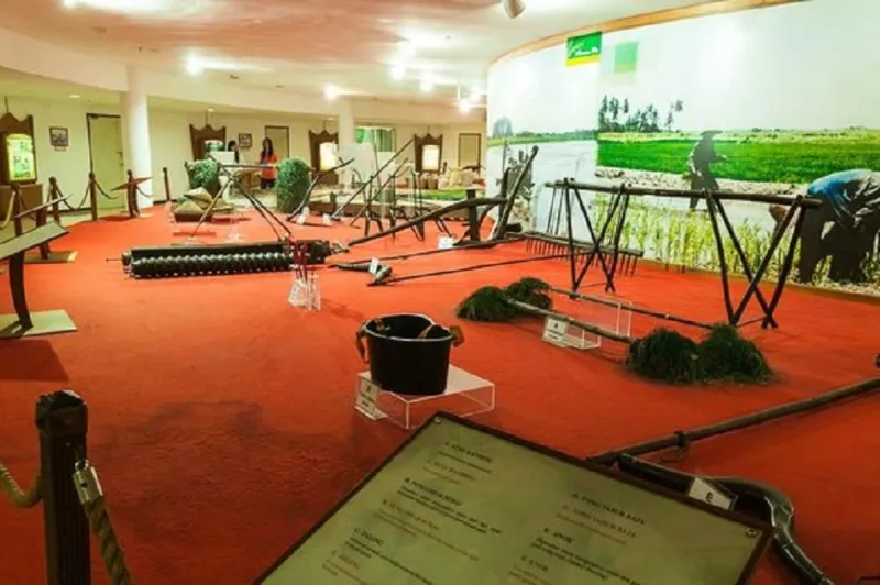 متحف الأرز في ماليزيا اسرار وفنون 