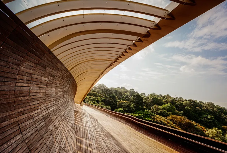 جسر هندرسون المتموج - سنغافورة  امواح وسط العابات 