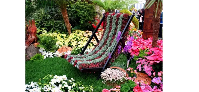 معرض الزهور في تشلسي ..جنة تفوح عطراً