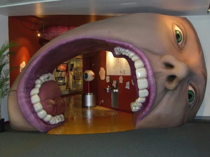 متحف كوربوس فى هولندا شاهد جسدك من الداخل 