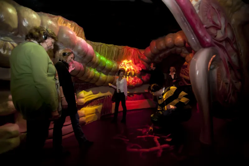 متحف كوربوس فى هولندا شاهد جسدك من الداخل 