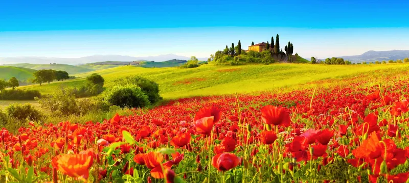 10 نصائح للتعرف إلى الاقليم الاخضر توسكانا  معجزة طبيعية 