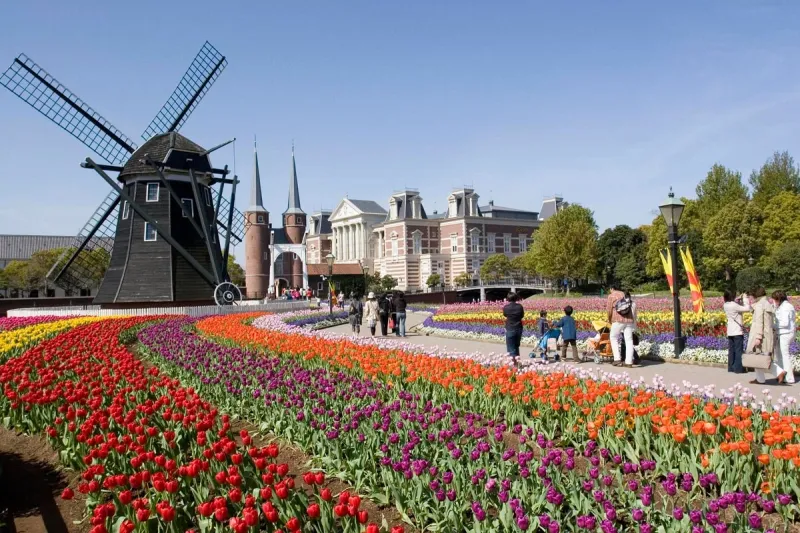 وأنت في اليابان جرّب أن تعيش في هولندا 