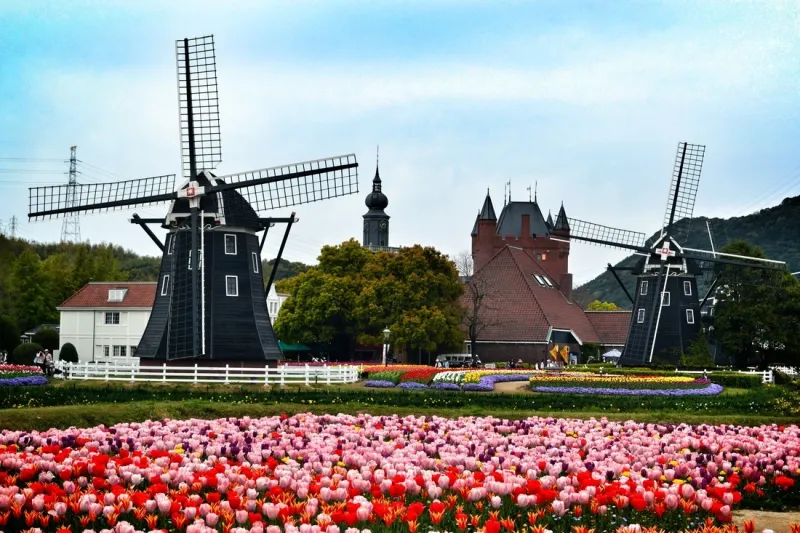 وأنت في اليابان جرّب أن تعيش في هولندا 