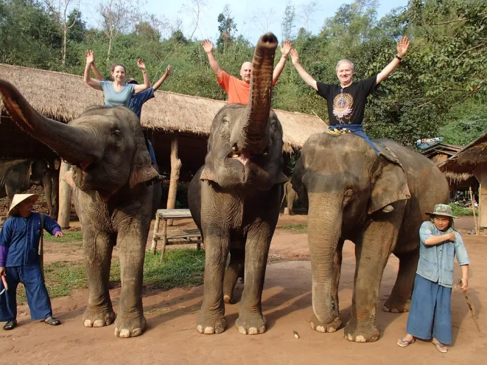 في تايلاند كن سائحاً وقائداً للفيل في آن واحد