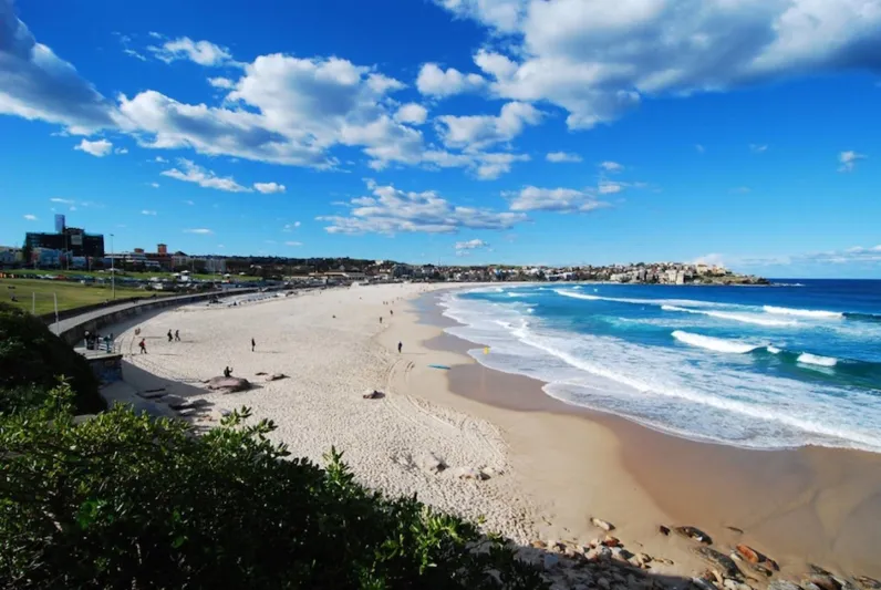 على رمال بوندي مهرجان سنوي للنحت