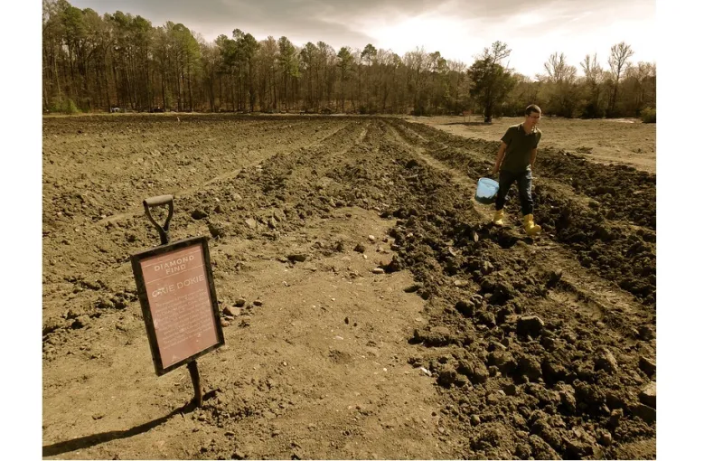 اكتشف الألماس بنفسك في حديقة دولة مورفريسبورو