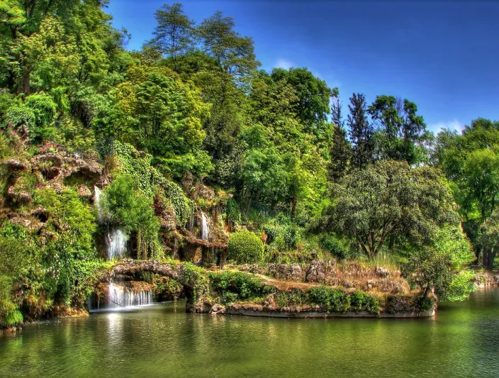 من يشتري الورد من ايميرجان